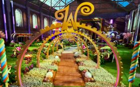 Wonka's The Golden Ticket