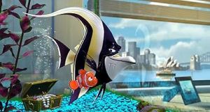 Finding Nemo