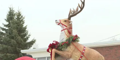 Prancer: A Christmas Tale Screenshot 3