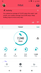 Fitbit Screenshot 1