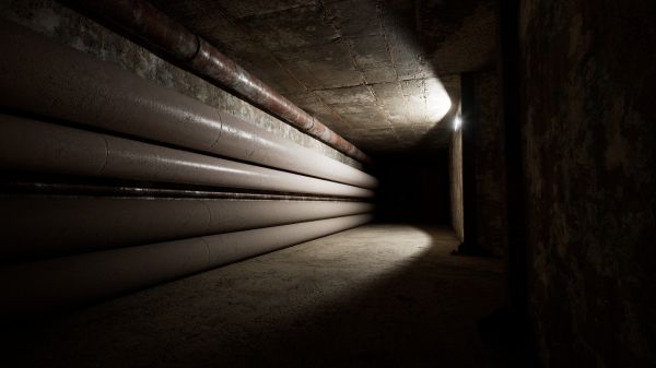 Backrooms: Escape Together Screenshot 17