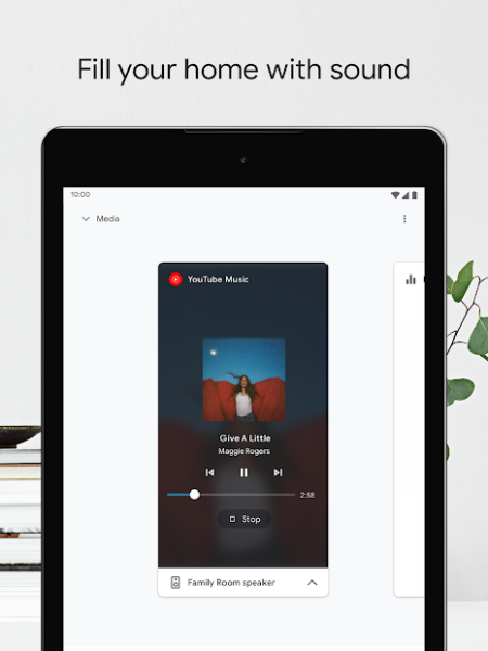 Google Home Screenshot 10