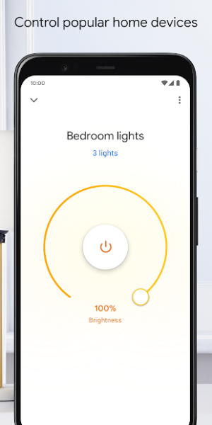 Google Home Screenshot 6