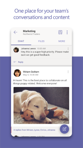 Microsoft Teams Screenshot 1