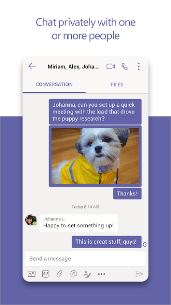Microsoft Teams Screenshot 2