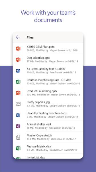 Microsoft Teams Screenshot 5