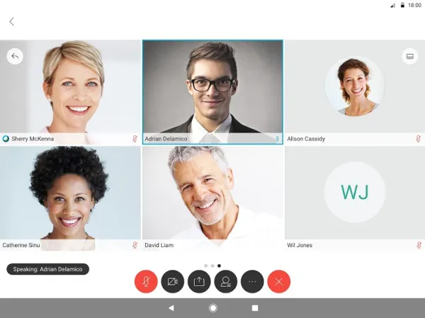 Cisco Webex Meetings Screenshot 8