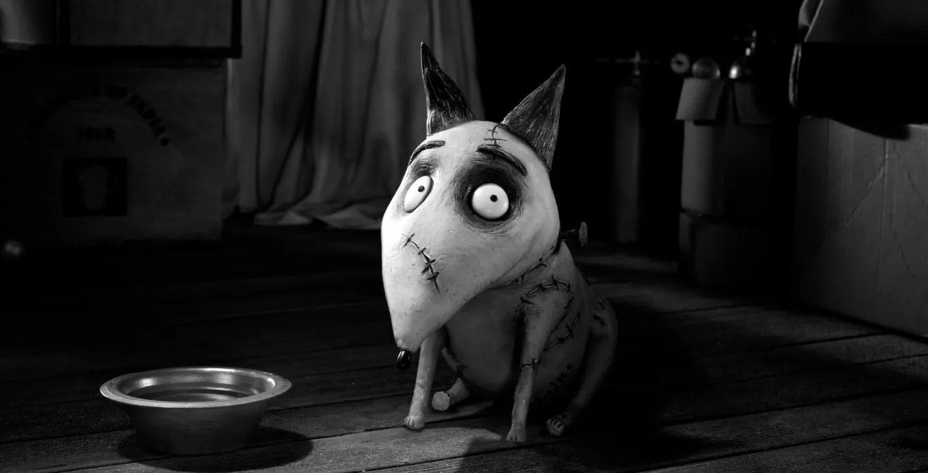Frankenweenie