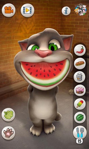 Talking Tom Cat